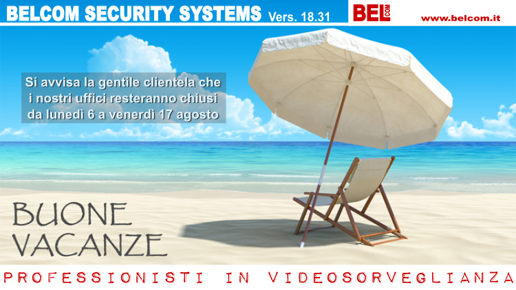 Professionisti in videosorveglianza